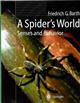 A Spider's World: Senses and Behavior