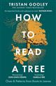 How to Read a Tree: Clues & Patterns from Roots to Leaves