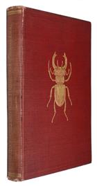 The Young Beetle-Collector's Handbook