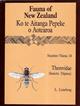 Fauna of New Zealand 24: Therevidae (Diptera)