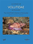 The Volutidae Collection of Patrice Bail / La Collection de Volutidae de Patrice Bail