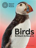 Birds: Brilliant & Bizarre