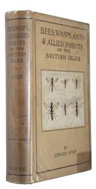 Bees, Wasps, Ants and Allied Insects of the British Isles