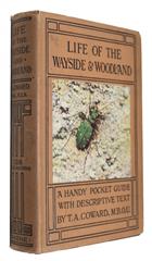 Life of the Wayside and Woodland