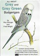 All About Grey and Grey Green Budgerigars