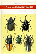 Common Malaysian Beetles