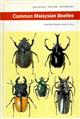 Common Malaysian Beetles