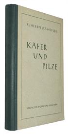 Käfer und Pilze