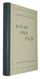 Käfer und Pilze