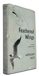 Feathered Wings: A Study of the Flight of Birds