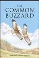 Common Buzzard PB