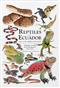 The Reptiles of Ecuador: Life in the middle of the world