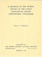 A revision of the world species of the genus Endotricha Zeller (Lepidoptera: Pyralidae)