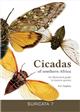 Cicadas of southern Africa: An illustrated guide to known species