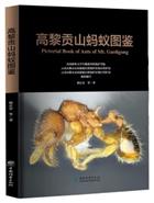  Pictorial Book of Ants of Mt. Gaoligong [高黎贡山蚂蚁图鉴]