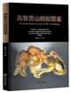  Pictorial Book of Ants of Mt. Gaoligong [高黎贡山蚂蚁图鉴]