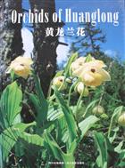 Orchids of Huanglong