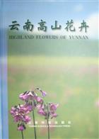 Highland Flowers of Yunnan