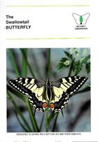 The Swallowtail Butterfly