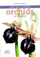 The Self-Sown Orchids of Greece: A Reference Book