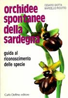 Orchidee spontanee della Sardegna: guida al riconoscimento delle specie