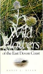 Wild Flowers of the East Devon Coast