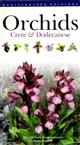 Orchids - Crete & Dodecanese