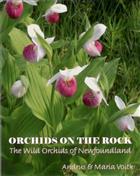 Orchids on the Rock: The Wild Orchids of Newfoundland