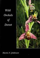 Wild Orchids of Dorset