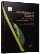 The Color Atlas of Neuropterida from China [中国脉翅类昆虫原色图鉴]