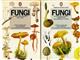 Fungi of Northern Europe 1-2 (Penguin Nature Guides)