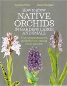 How to Grow Native Orchids in Gardens Large and Small: The Comprehensive Guide to Cultivating Local Species