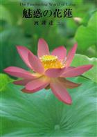 The Fascinating World of Lotus | 魅惑の花蓮