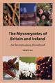 The Myxomycetes of Britain and Ireland: An Identification Handbook