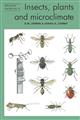 Insects, plants and microclimate (Naturalists' Handbooks 15)