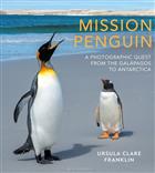 Mission Penguin: A photographic quest from the Galápagos to Antarctica