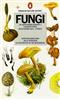 Fungi of Northern Europe 1: Larger Fungi (Excluding Gill-Fungi) (Penguin Nature Guides)