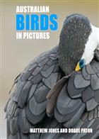 Australian Birds in Pictures