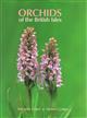 Orchids of the British Isles