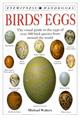 Birds' Eggs (Eyewitness Handbooks)