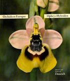 Orchideen Europas: Ophrys Hybriden