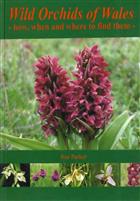 Wild Orchids of Wales how, when and where to find them