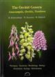 The Orchid Genera Anacamptis, Orchis, and Neotinea: Phylogeny, Taxonomy, Morphology, Biology, Distribution, Ecology, and Hybridisation