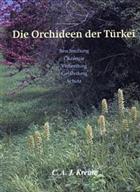 Die Orchideen der Türkei: Beschreibung, Ökologie, Verbreitung, Gefährdung, Schutz