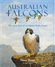 Australian Falcons: The secret lives of our fastest birds of prey