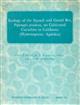 Ecology of the Squash and Gourd Bee Peponapis pruinosa, on cultivated Cucurbits in California (Hymenoptera, Apoidea)