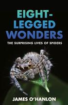 Eight-Legged Wonders: The Surprising Lives of Spiders