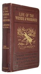 Life of the Wayside and Woodland