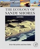 The Ecology of Sandy Shores