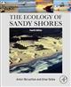 The Ecology of Sandy Shores